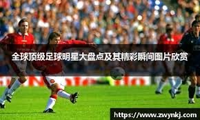 的对策是缩